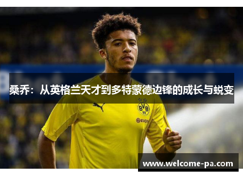 桑乔：从英格兰天才到多特蒙德边锋的成长与蜕变