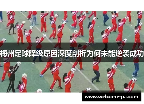 梅州足球降级原因深度剖析为何未能逆袭成功