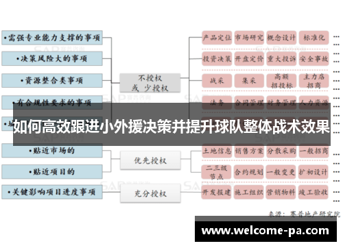 如何高效跟进小外援决策并提升球队整体战术效果