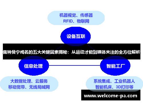 佩特曼宁成名的五大关键因素揭秘：从运动才能到媒体关注的全方位解析