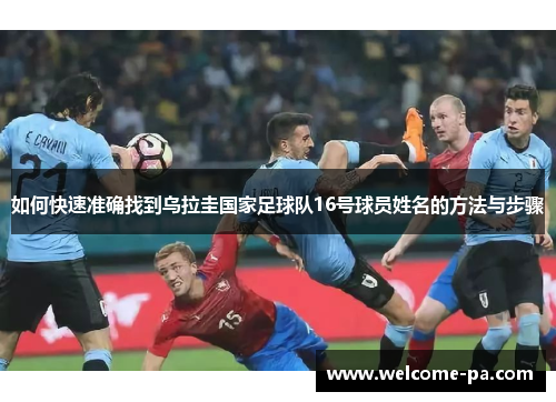 如何快速准确找到乌拉圭国家足球队16号球员姓名的方法与步骤