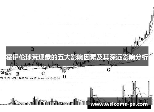 霍伊伦球荒现象的五大影响因素及其深远影响分析
