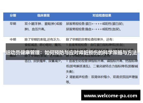 运动员健康管理：如何预防与应对肾脏损伤的科学策略与方法