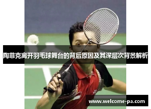 陶菲克离开羽毛球舞台的背后原因及其深层次背景解析