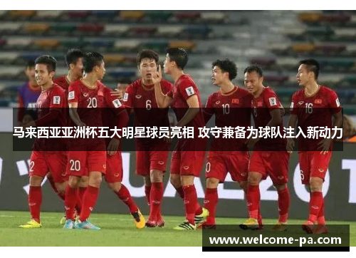 马来西亚亚洲杯五大明星球员亮相 攻守兼备为球队注入新动力