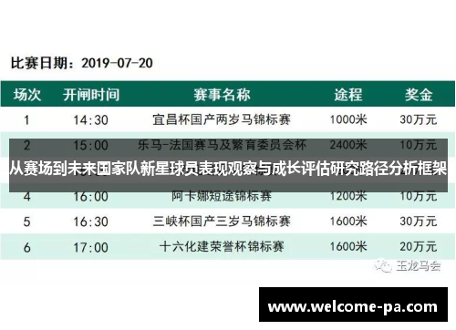 从赛场到未来国家队新星球员表现观察与成长评估研究路径分析框架